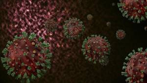 ÜST: Meymunçiçəyi Virusunun Klad 1b Ştammı Artıq Afrikadan Kənara Yayıldı