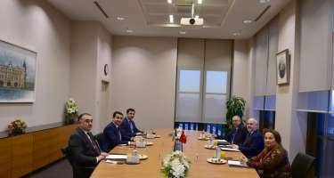 Hikmət Hacıyev Türkiyə Prezidentinin baş müşaviri ilə görüşdü