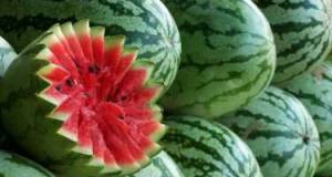 Azərbaycanın qarpız ixracı 86% artıb Xəbər şəkili