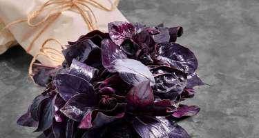 Reyhanın bilmədiyiniz faydaları