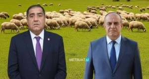 Həbs edilən icra başçıları şərik imiş