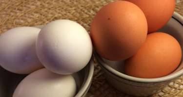 Sarı, yoxsa ağ? - Hansı yumurta daha faydalıdır?