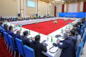 Naxçıvanda TDT ölkələri QHT-lərinin Həmrəylik Forumu keçirilib - YENİLƏNİB Xəbər şəkili