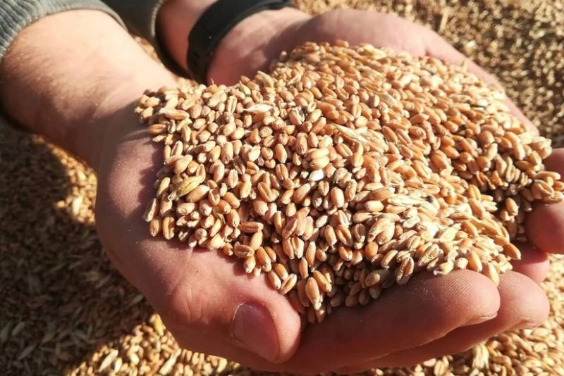 Rusiya Xarici Kəşfiyyat Xidməti: Ermənistan Ukrayna taxılının xeyrinə bizim məhsuldan imtina etmək istəyir