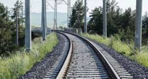 ADY heyvanlarla toqquşmaların sayını açıqladı Xəbər şəkili