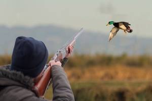Astarada qanunsuz ov edən şəxslər saxlanılıblar