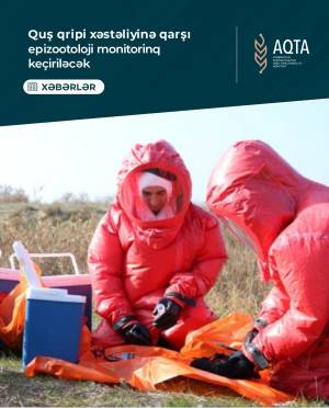 Quş qripi xəstəliyinə qarşı epizootoloji monitorinq keçiriləcək Xəbər şəkili