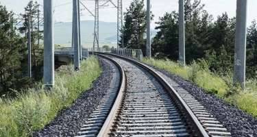 ADY heyvanların yola çıxması ilə bağlı məlumat yaydı