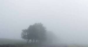 Bəzi yerlərdə duman müşahidə olunur -FAKTİKİ HAVA