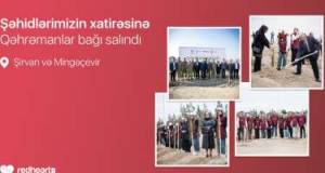 Şəhidlərin xatirəsinə 543 ağac əkildi Xəbər şəkili