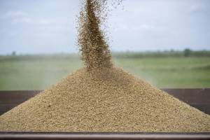 Ermənistan Qazaxıstan və Rusiyadan dəmir yolu ilə buğda idxalına başlaya bilər