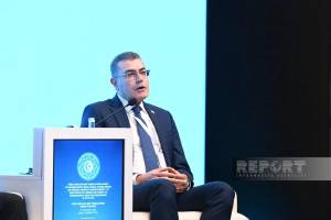 Şimali Kipr rəsmisi: TDT vasitəsilə ilə bütün dünya ilə danışa bilərik Xəbər şəkili