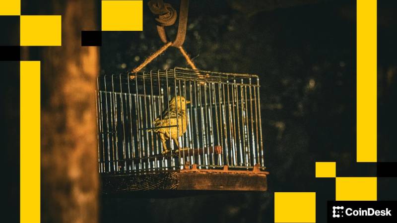 Mədəndəki Kanareya: Amerika Kriptovalyuta Gündəliyindəki Əsas Xəbərdarlıqlar