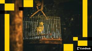 Mədəndəki Kanareya: Amerika Kriptovalyuta Gündəliyindəki Əsas Xəbərdarlıqlar Xəbər şəkili