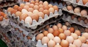 Azərbaycanda yumurta bahalaşdı Xəbər şəkili