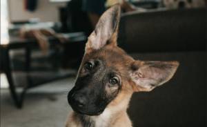 Bitkoinin Kəskin Düşüşü: Proqnoz Bazarları Belə Bu Satış Dalğasını Əvvəlcədən Görə Bilmədi Xəbər şəkili