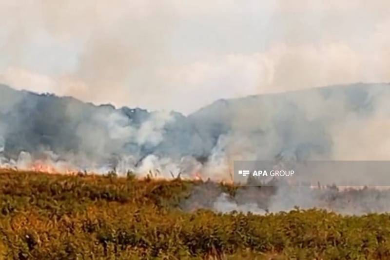 Gədəbəydə dağlıq ərazidə yanğın olub