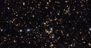 Çin kosmosa siçan göndərdi