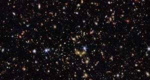 Çin kosmosa siçan göndərdi Xəbər şəkili