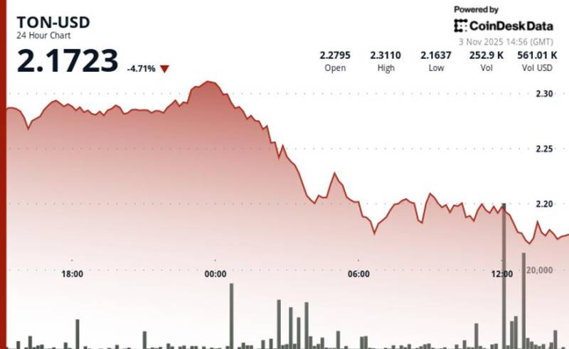 Tonkoinin Qiyməti Böyük Səhmdarın 273 Milyon Dollarlıq Alışında Nasdaq Qayda Pozuntusu Aşkarladığı Üçün Azaldı
