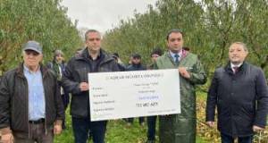 “Şaxta nəticəsində bağa ciddi ziyan dəyib” -Rəvan Səmədli Xəbər şəkili