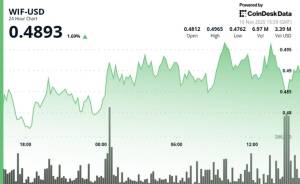 WIF Tokeni 5% Yüksəlişlə 0.497 Dollara Çatdı, Ardınca Mənfəət Götürmə Səbəbindən Geri Çəkildi