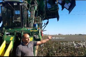 Biləsuvarda pambıq sahəsində yanğın baş verib - FOTO Xəbər şəkili