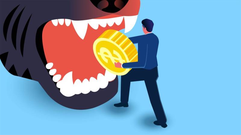 "İndi Al, Sonra Ödə" (BNPL) Xidmətləri Sürətlə Böyüyür: Ərzaq Alış-Verişi Üçün Kreditə Görə Maliyyə Riski Yüksəlir