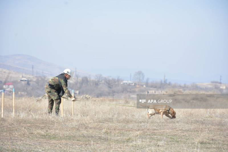 Xarici dövlətlərdə ali təhsil almış şəxslər üçün peşə tanınması imtahanı keçiriləcək