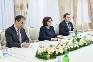 Slovakiya səfiri Sahibə Qafarova ilə görüşdən paylaşım edib