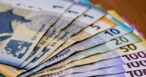 Manatın dövretmə sürəti açıqlandı