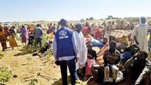 Sudanda Mülkilərin Kütləvi Qətli: Dünya Birliyi Təcili Qınamağa Başladı