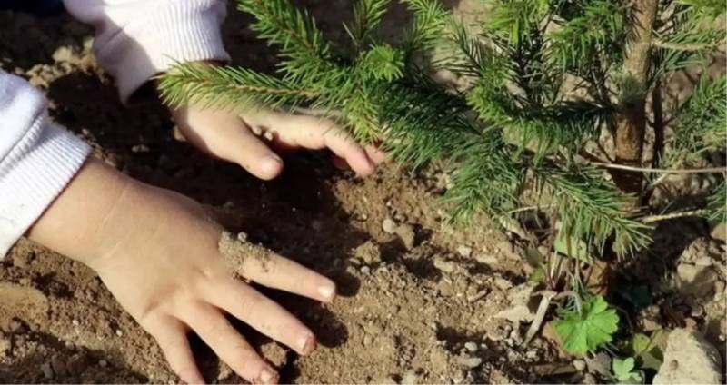 TEMA Fonduna Necə Dəstək Olmaq Olar? İanə Yolları, Layihələr və Könüllü Üzvlər Xəbər şəkili