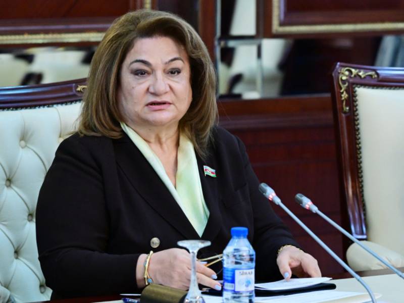 Zorakılığa məruz qalan qadınlarımız, erkən nikaha məcbur edilən qızlarımız var – Komitə sədri