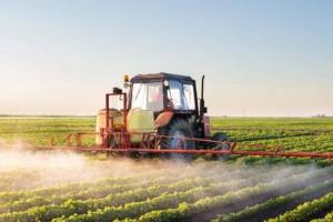 Sahil Babayev: "Son 5 ildə kənd təsərrüfatı xərcləri 33 %-ə yaxın artıb" Xəbər şəkili