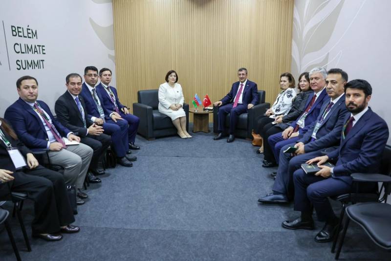 Sahibə Qafarova Türkiyənin vitse-prezidenti ilə COP29-un nailiyyətlərini müzakirə edib - YENİLƏNİB