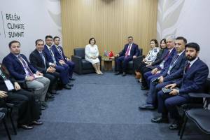 Sahibə Qafarova Türkiyənin vitse-prezidenti ilə COP29-un nailiyyətlərini müzakirə edib - YENİLƏNİB