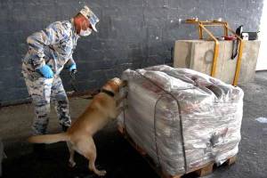 ABŞ səfirliyi: Ölkəmiz tərəfindən verilən texnika Azərbaycana 90 milyon dollarlıq heroin aşkarlamağa kömək edib Xəbər şəkili