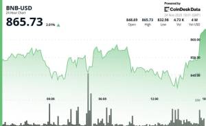 BNB Kriptovalyutasının 860 Dolların Üzərində Bərpası: Treydlər 870 Səviyyəsini İzləyir Xəbər şəkili