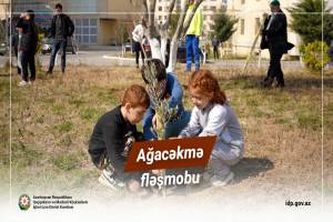 Prezident TDT-yə üzv ölkələrin QHT-lərinin Həmrəylik Forumunun iştirakçılarına müraciət ünvanlayıb Xəbər şəkili