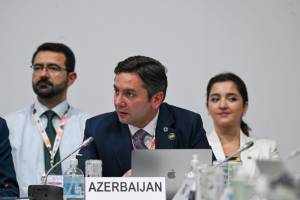 COP29-un gənclər üzərində qurulan irsi geləcək sammitlər üçün iştirak modelidir - Yalçın Rəfiyev