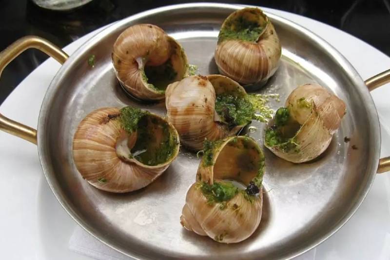 Fransada Qeyri-adi Oğurluq: Qastronomiya Məhsulları Tədarük edən Fermadan 4 Milyon TL Dəyərində İlbiq Çalındı Xəbər şəkili