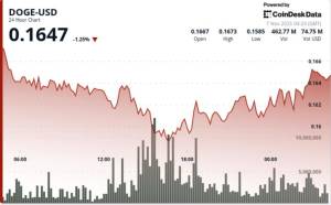 Dogecoin ETF-in ABŞ-da Buraxılma Ehtimalı: DOGE-nin Texniki Analizi Hazırda Mənfi Trend Göstərir