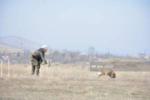 Minatəmizləyənlərə təlimlərin keçirilməsi Qaydası təsdiqlənib