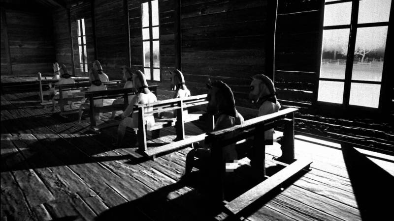 Valve-ın "Horses" Oyunu Qadağası Müstəqil Studiyanı İflasın Astanasına Gətirdi