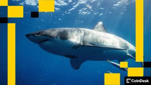 Ethereum Köpəkbalığına Bənzəyir: Hərəkəti Dayandırsa, Öz Üstünlüyünü İtirəcək