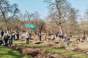 Zəfər Günü ilə əlaqədar meşə fondu torpaqlarında 30 mindən artıq ağac əkilib Xəbər şəkili