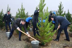 Zəfərin 5-ci ildönümünə həsr edilən ağacəkmə aksiyası keçirilib Xəbər şəkili