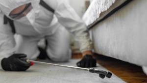 Zəhərlənmə Faciəsi Gündəmdə: <strong>Alüminium Fosfit</strong> Təhlükəsi - Divardan Belə Sızır və Satışı Asandır