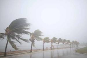 Şri-Lankada "Ditva" siklonunun qurbanlarının sayı 123 nəfərə çatıb Xəbər şəkili